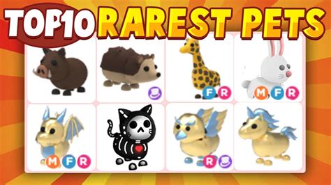 Each fish has a. . What is the rarest pets in adopt me